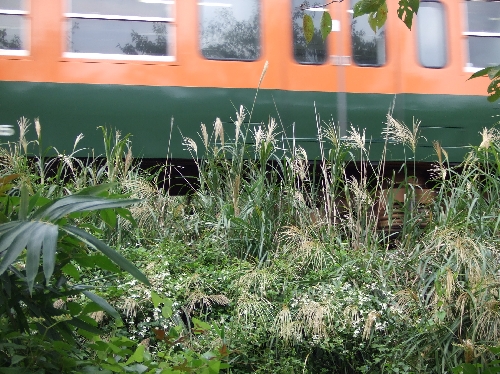 変換 ~ 915 097.jpg